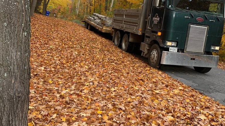 Fall Cleanup - Tips and Best Practices - Futurescape Landscaping