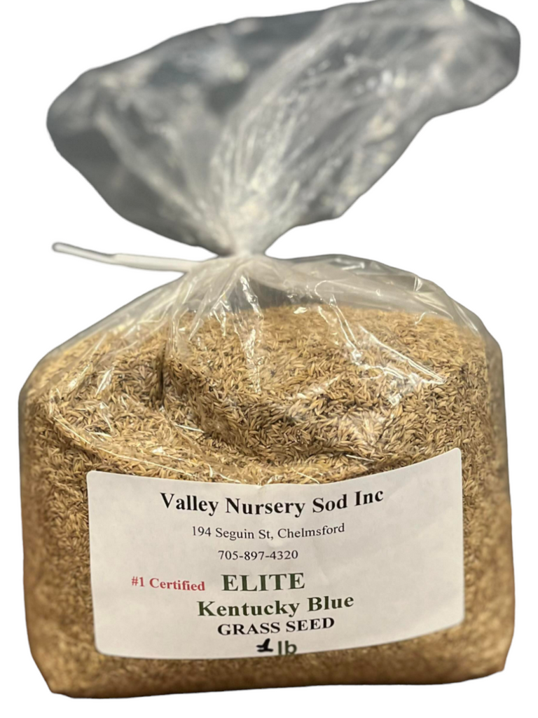 Kentucky Blue Elite Grass Seed