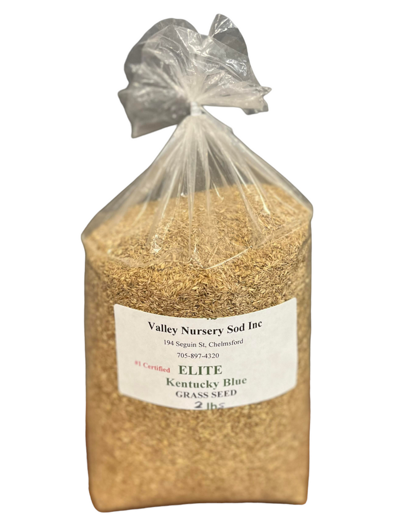 Kentucky Blue Elite Grass Seed