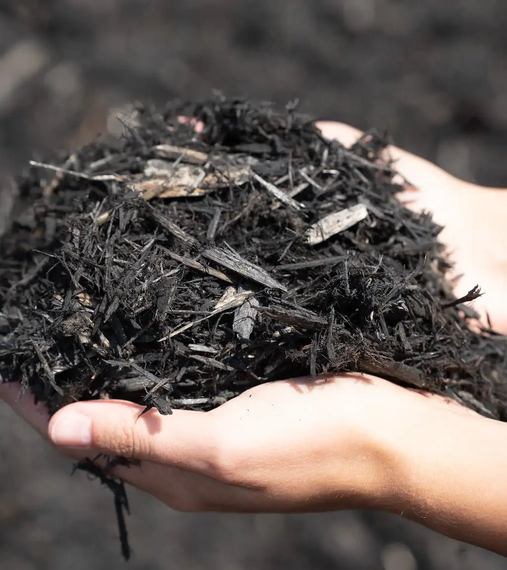 Earth Black Cedar Mulch - Futurescape Landscaping
