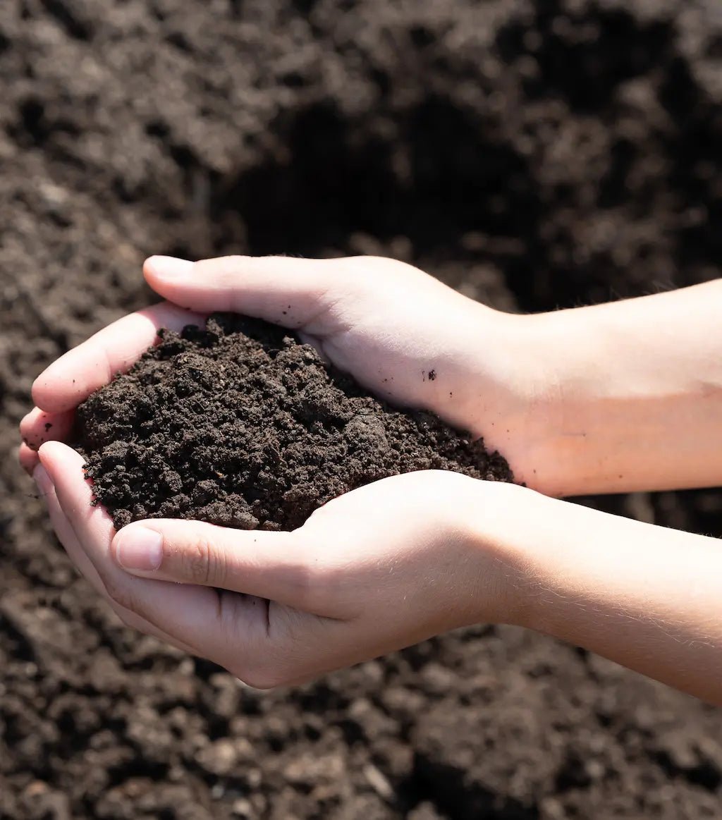 Garden Mix - Futurescape Landscaping