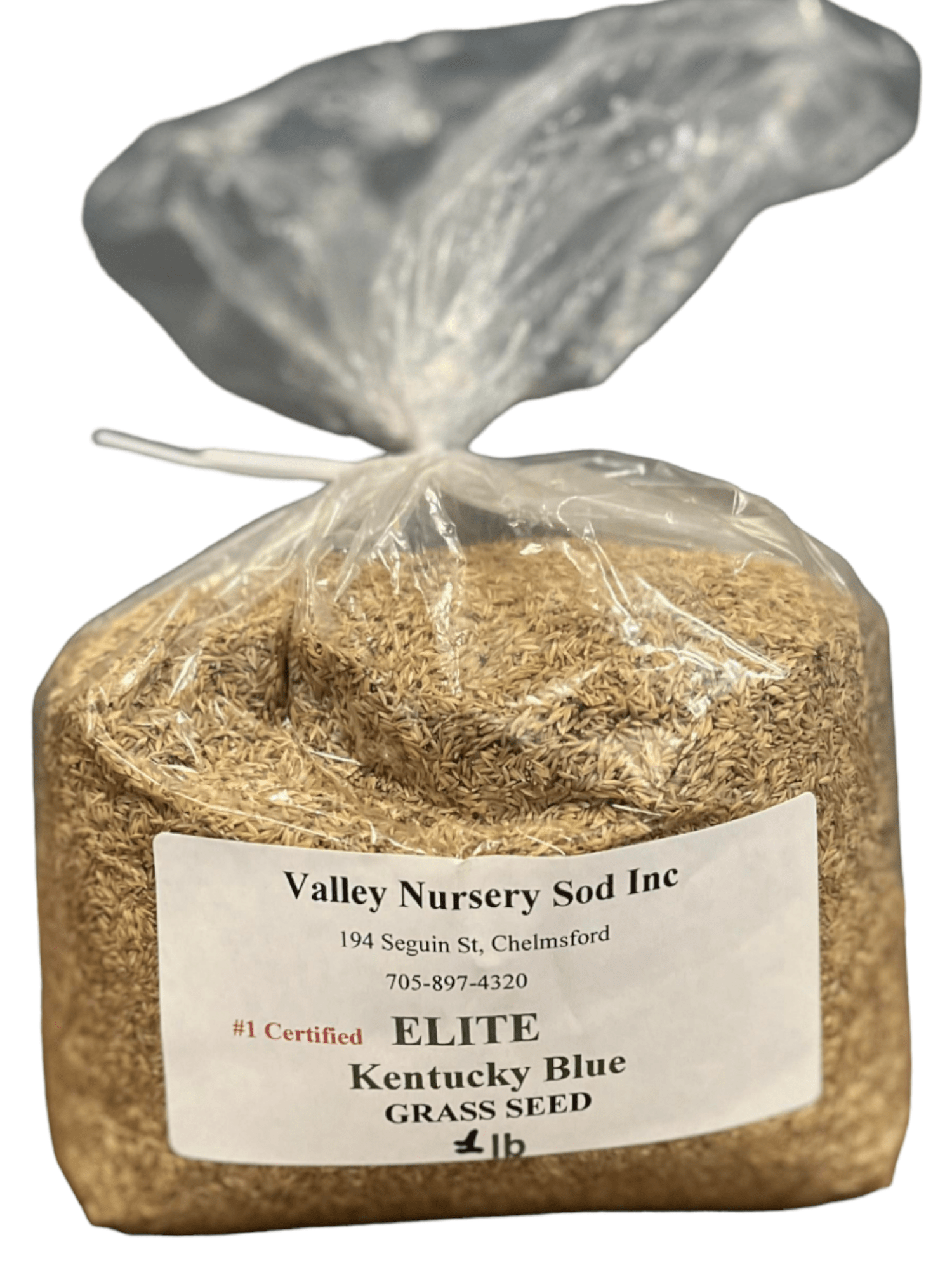 Kentucky Blue Elite Grass Seed - Futurescape Landscaping