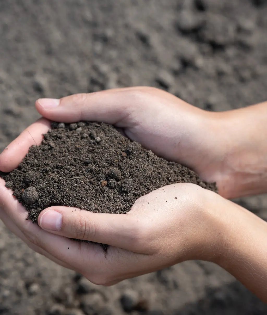Super Soil Top Dressing - Futurescape Landscaping