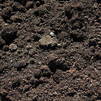 Garden Mix