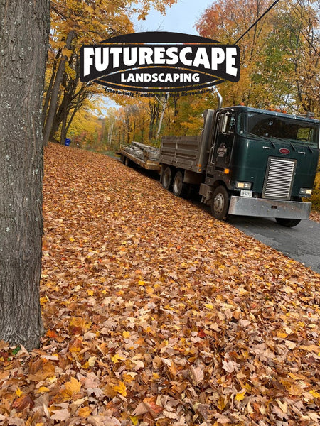 Fall Cleanup - Tips and Best Practices