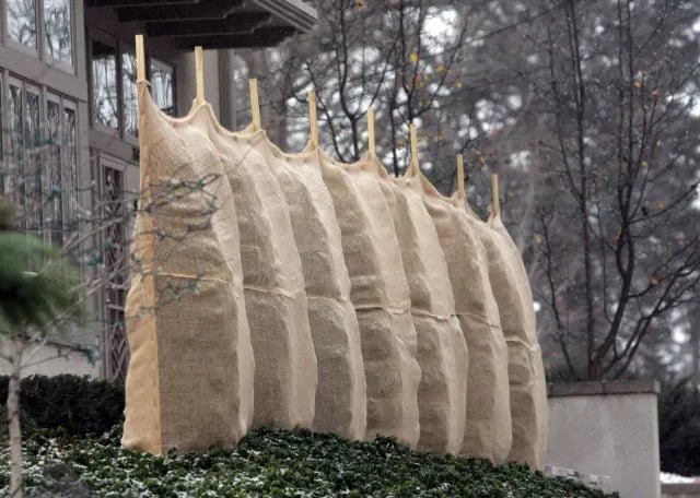 How to protect trees and shrubs in the winter - Futurescape Landscaping