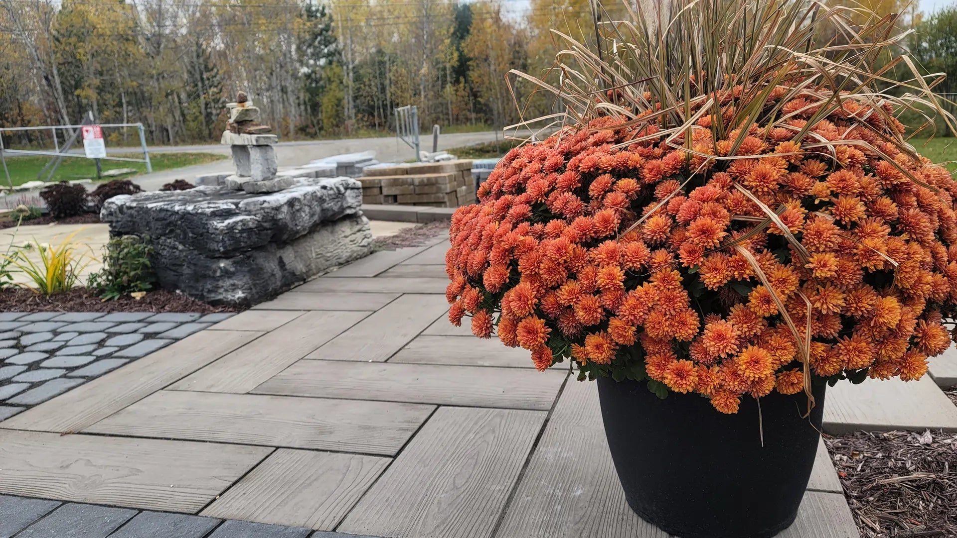 Potted orange flowers on a wooden deck with a garden and stone structure in the background