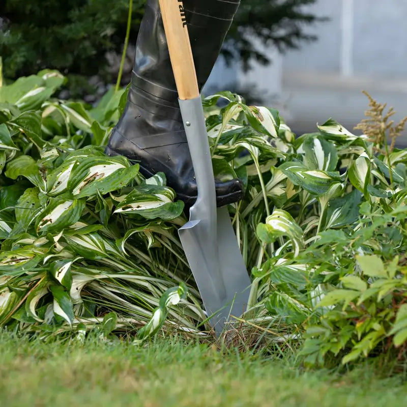 Garant Botanica garden spade with tempered steel blade and forward-turned footstep for transplanting and dividing plants