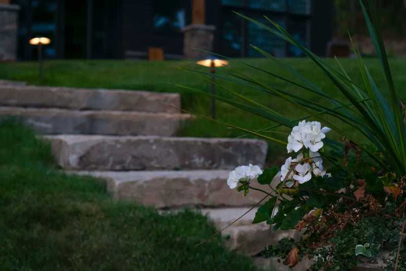 Outdoor landscape lighting installation