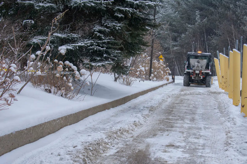Cleared driveway and sidewalk in winter