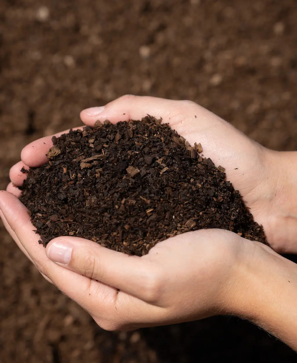 Fish Compost by Futurescape Landscaping