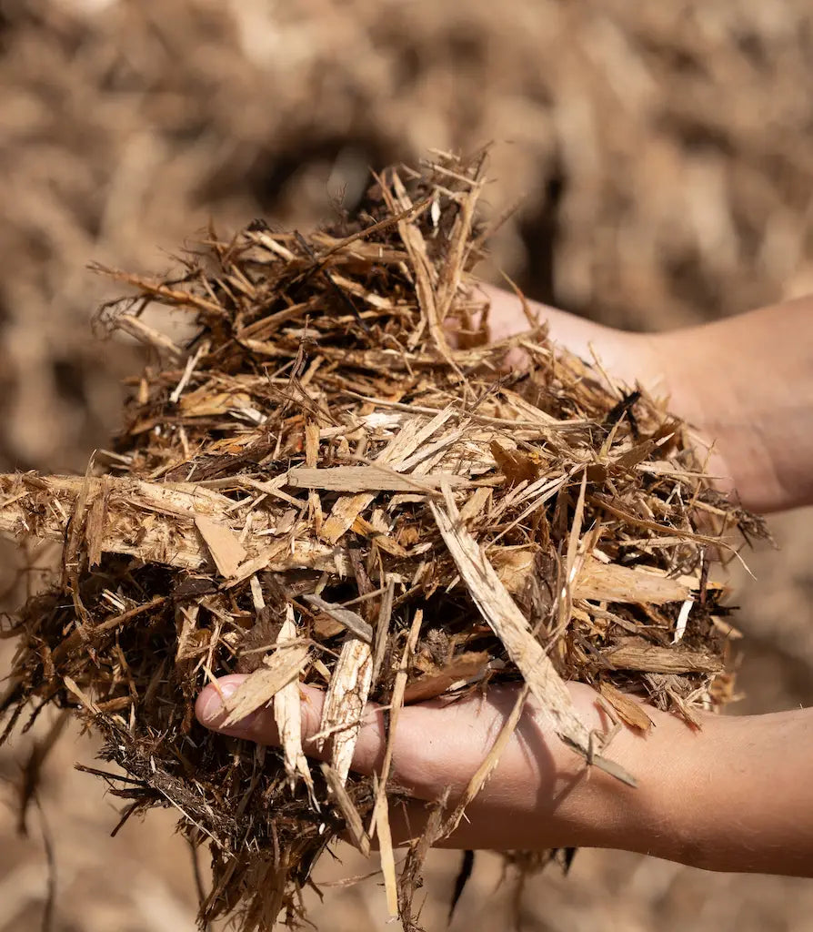 Natural Cedar Mulch at Futurescape landscaping