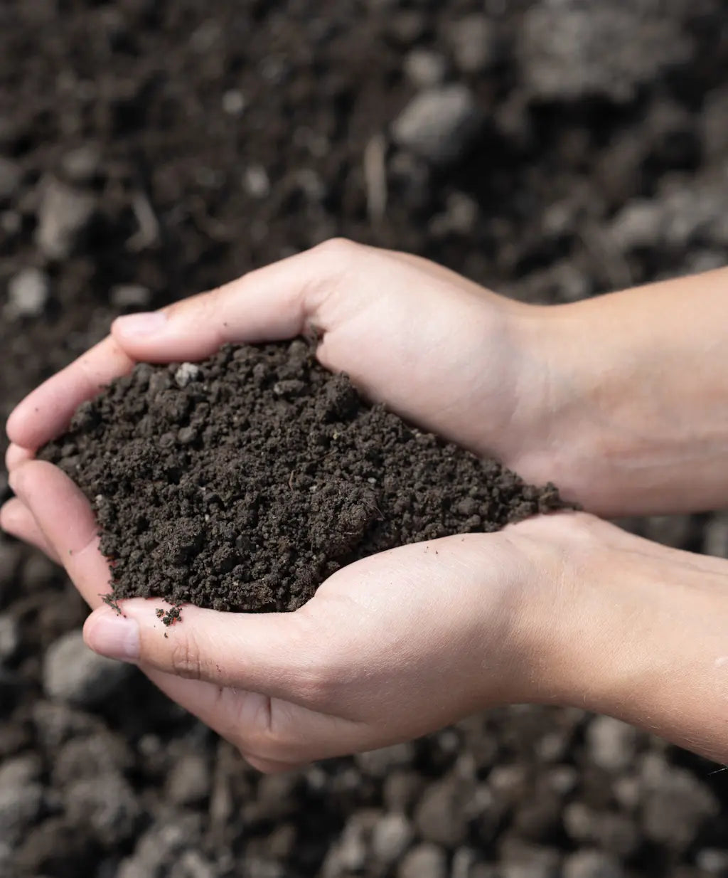 Top Soil by Futurescape Landscaping