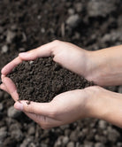 Top Soil by Futurescape Landscaping