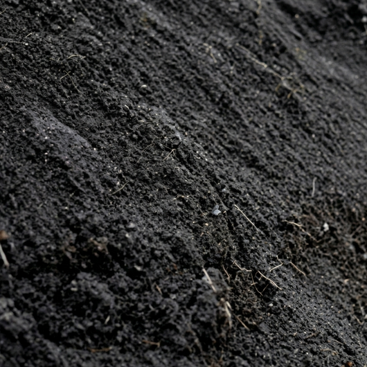 Close-up of dark top soil texture