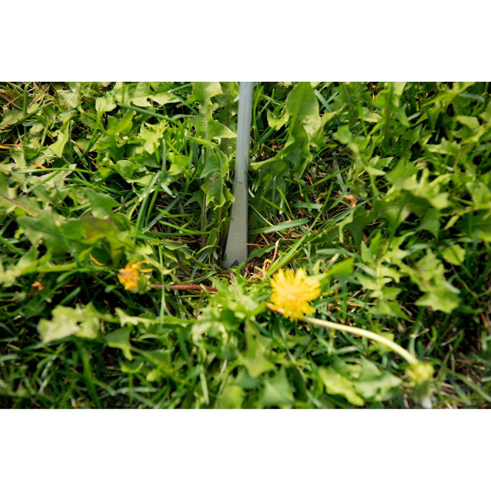 High-quality manual garden weeder for efficient weed pulling and lawn maintenance