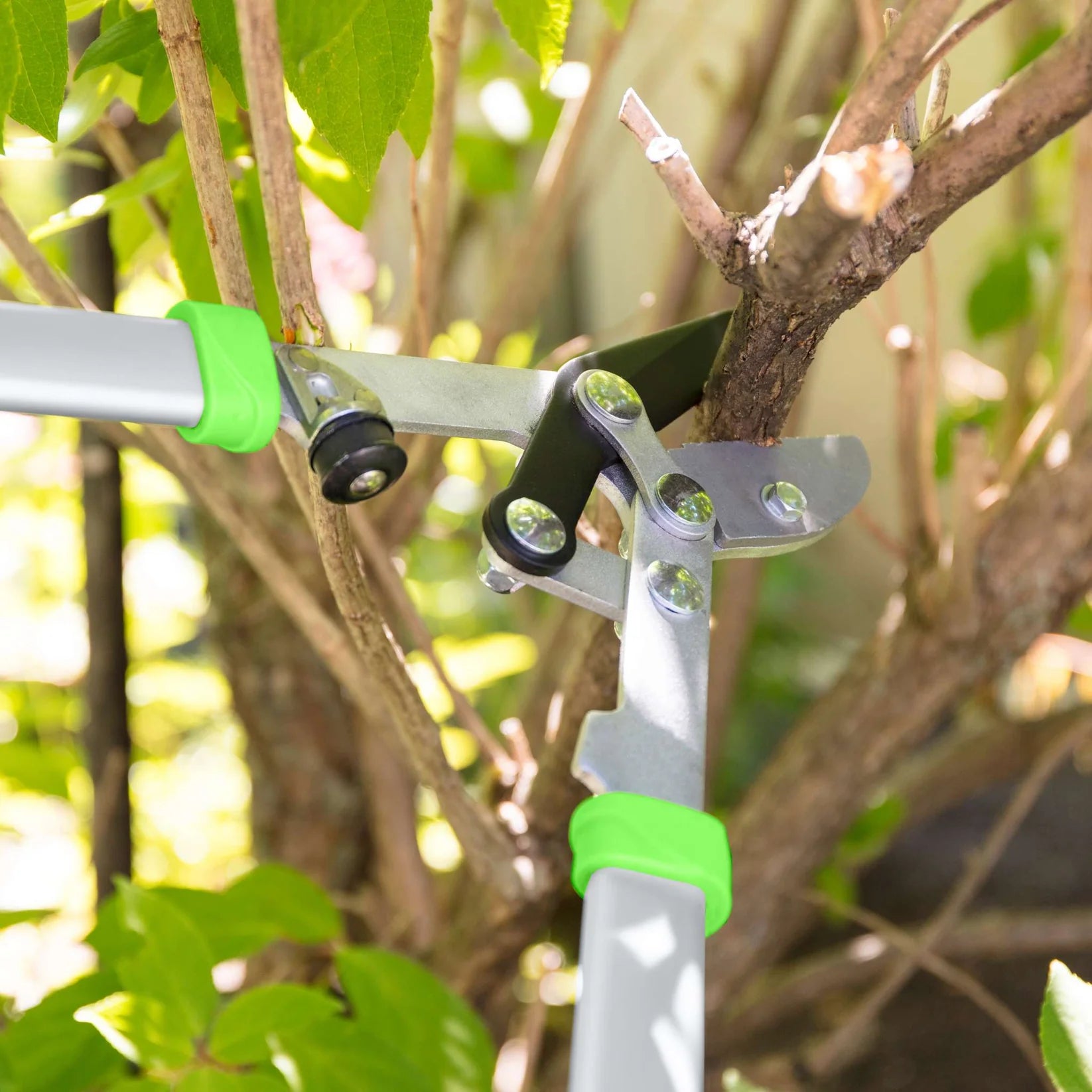 Garant anvil lopping shears with 30-inch aluminum handles and high-carbon steel blades for cutting dry branches.