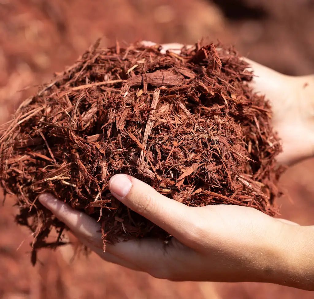 Burgundy Red Cedar Mulch - Futurescape Landscaping