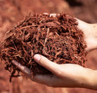 Burgundy Red Cedar Mulch - Futurescape Landscaping