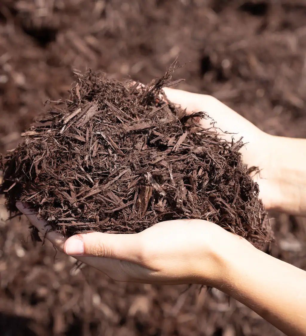 Chestnut Brown Cedar Mulch - Futurescape Landscaping