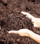 Chestnut Brown Cedar Mulch - Futurescape Landscaping