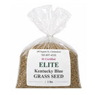 Kentucky Blue Elite Grass Seed - Futurescape Landscaping