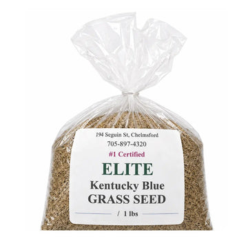 Kentucky Blue Elite Grass Seed - Futurescape Landscaping