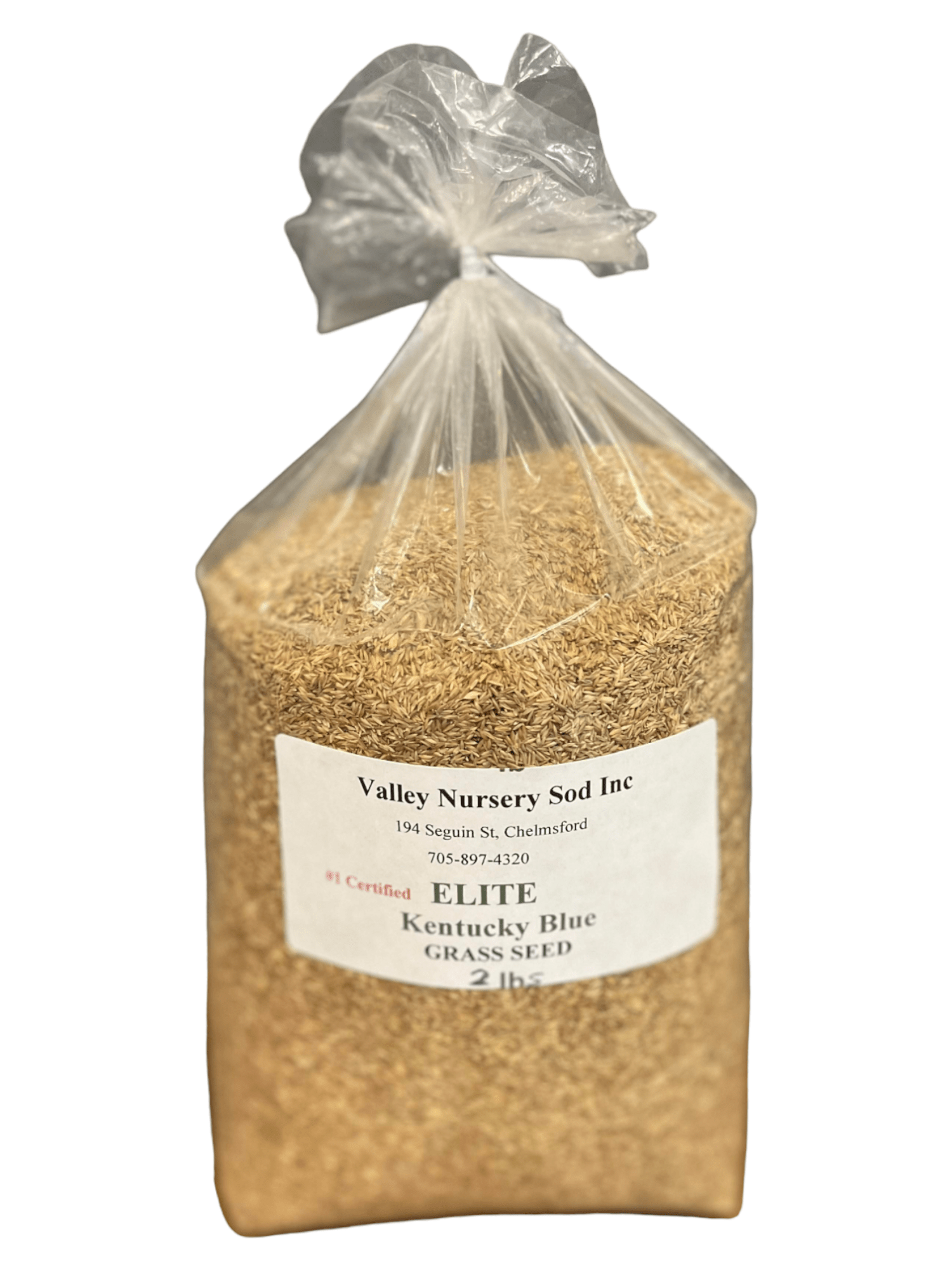 Kentucky Blue Elite Grass Seed - Futurescape Landscaping