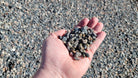 Pea Stone - Futurescape Landscaping