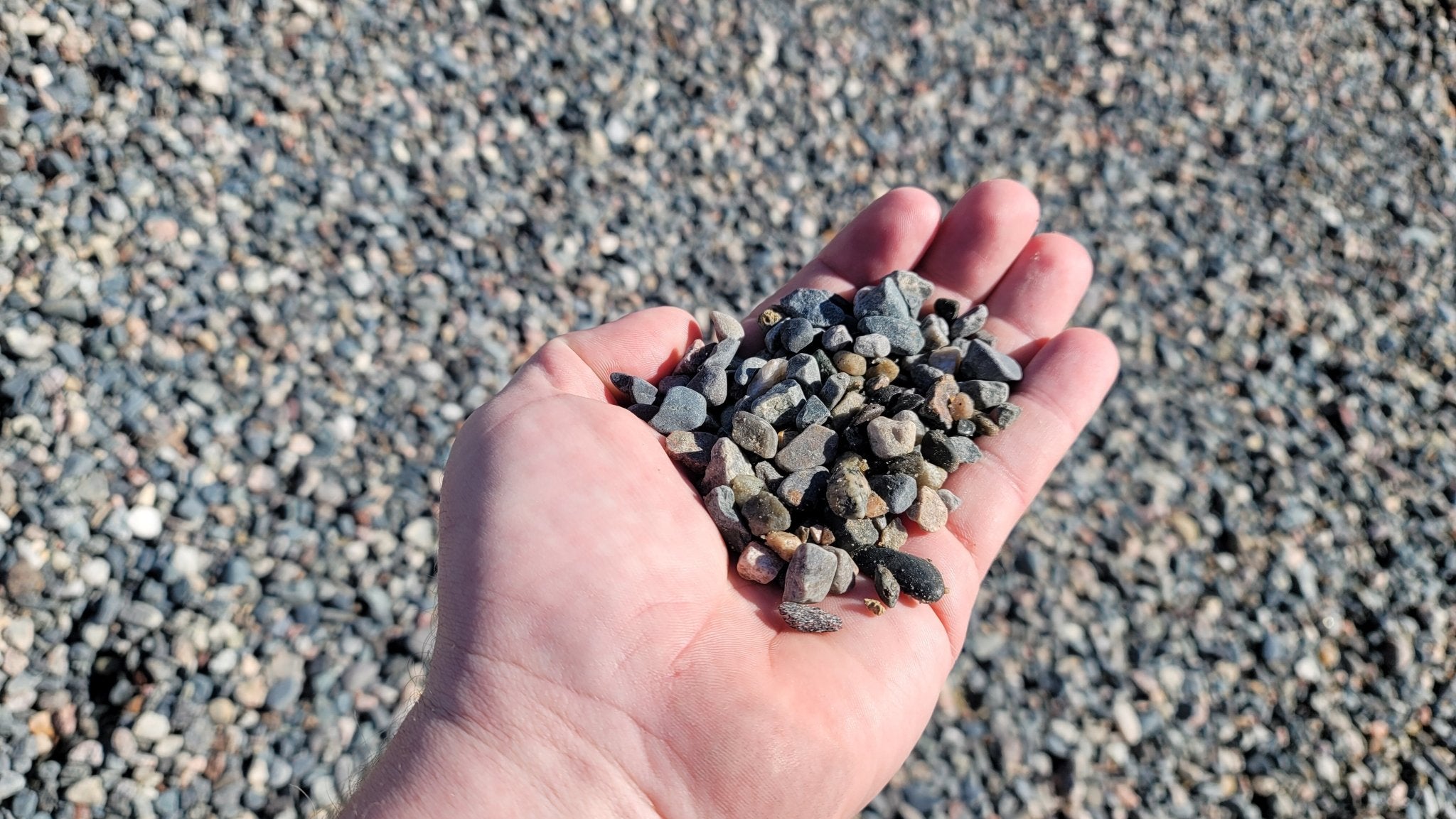 Pea Stone - Futurescape Landscaping
