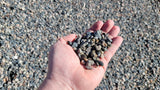 Pea Stone - Futurescape Landscaping