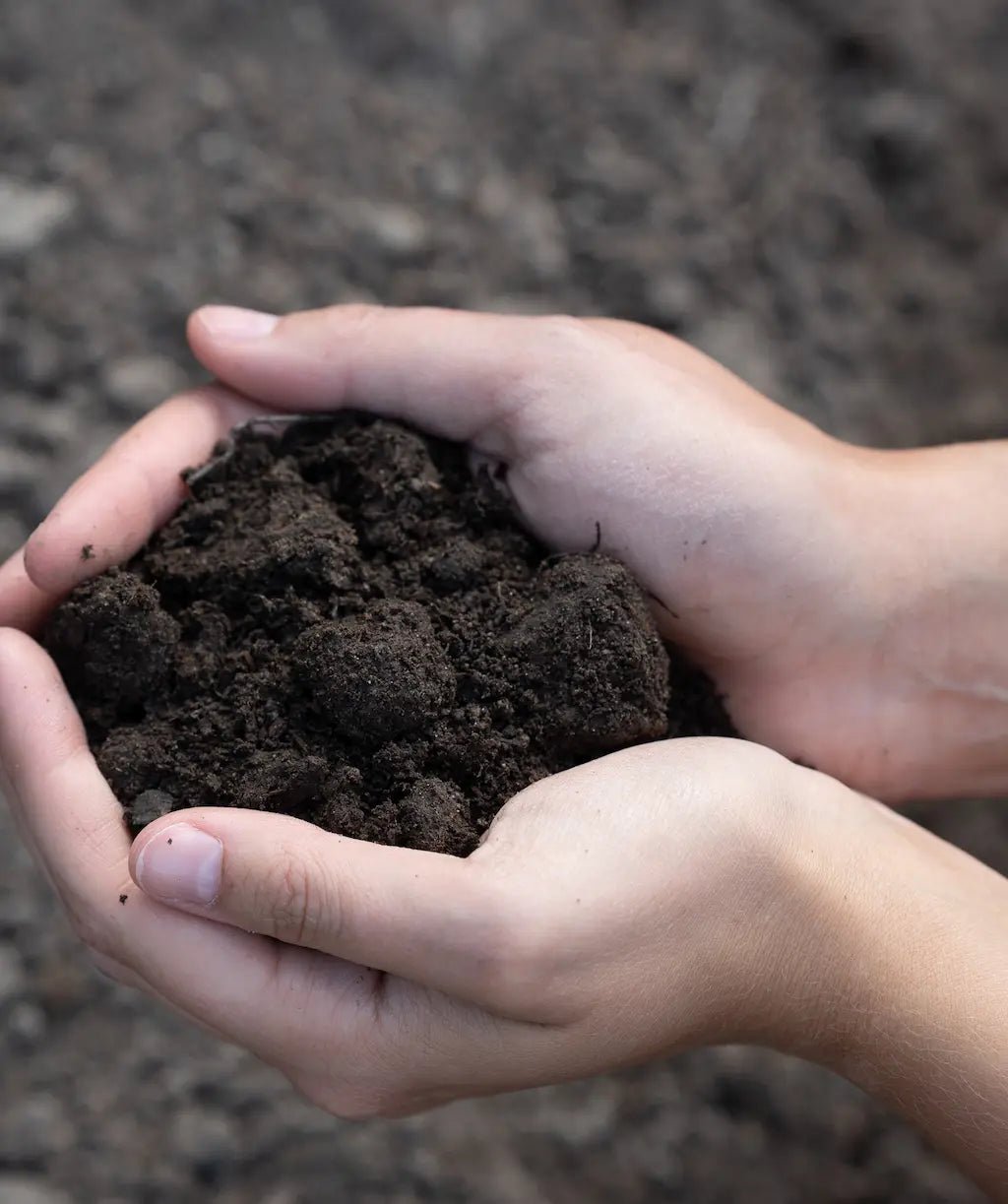 Super Soil Garden Mix - Futurescape Landscaping