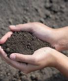 Super Soil Top Dressing - Futurescape Landscaping