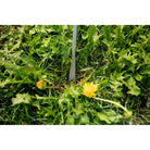 Weeder - 81023 - Futurescape Landscaping