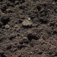 Garden Mix - Futurescape Landscaping